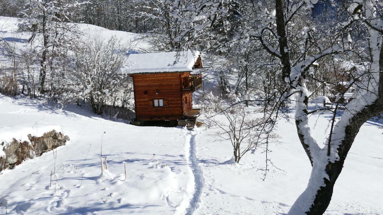 Chamonix Petit Chalet Cocooning Servoz Dış mekan fotoğraf